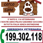 118 Veterinario